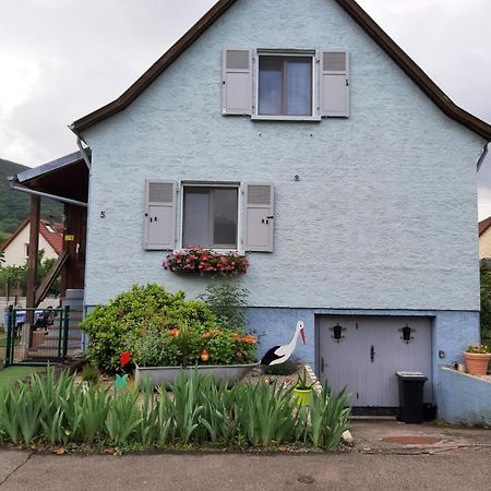 Gite Les Chiwawas D'Alsace Kaysersberg-Vignoble Exterior foto