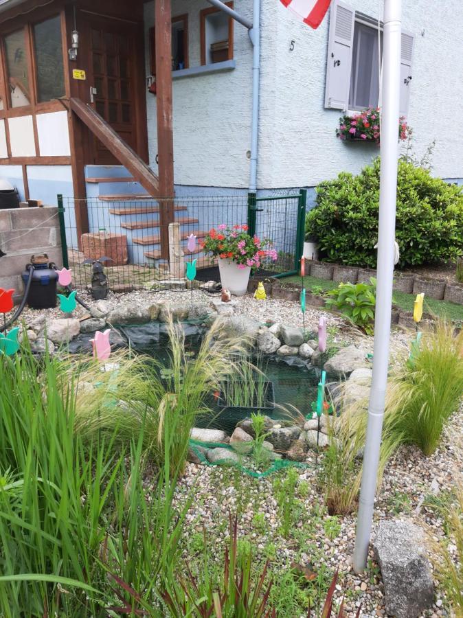 Gite Les Chiwawas D'Alsace Kaysersberg-Vignoble Exterior foto